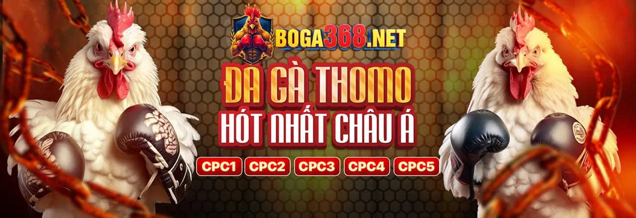 Hình ảnh tổng hợp các trò chơi đa dạng tại sòng bạc trực tuyến